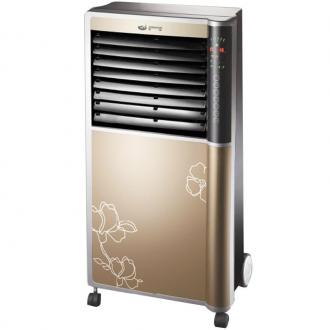 先锋 （SINGFUN） 遥控冷暖空调扇LRL05-11DR(DG1103) 金色
